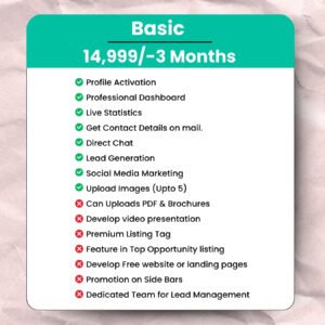 Franchise Listing Basic